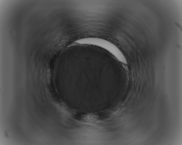 X0000092230223200710121224