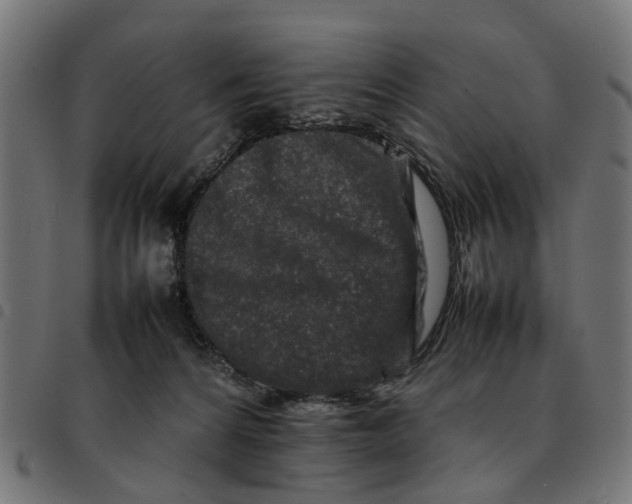 X0000092230224200710121224