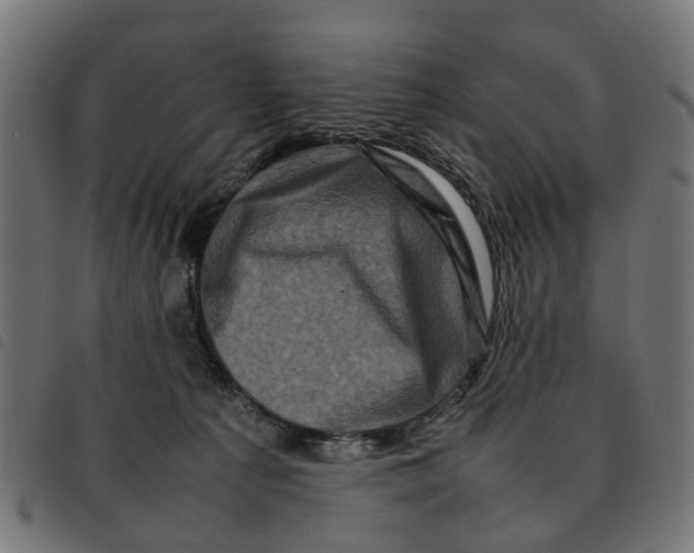 X0000092230225200710121224