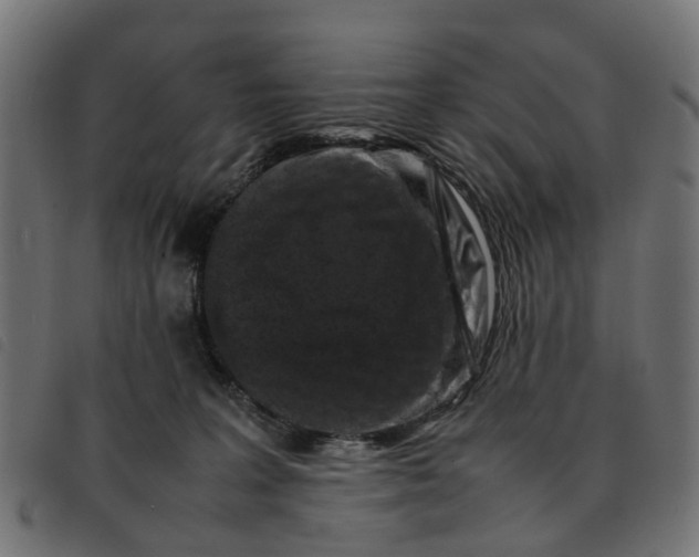 X0000092230227200710121224