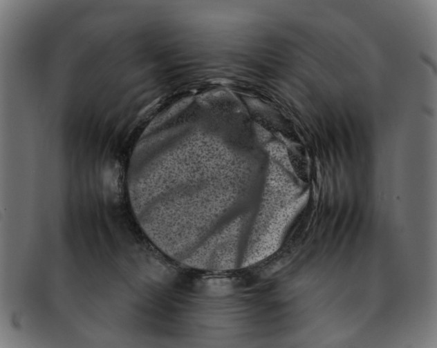 X0000092230228200710121224