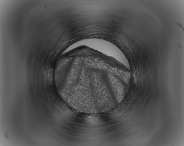 X0000092230232200710121224