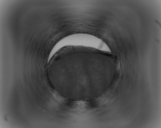 X0000092230233200710121224