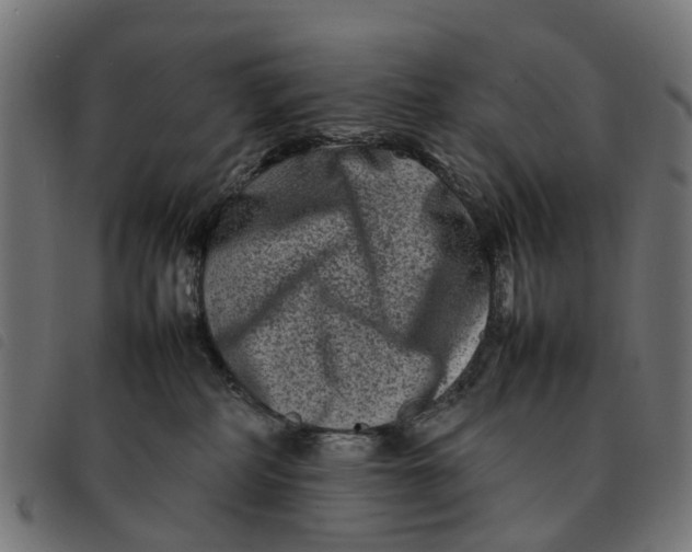 X0000092230234200710121224