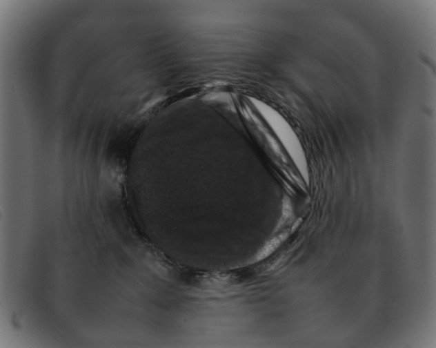 X0000092230235200710121224