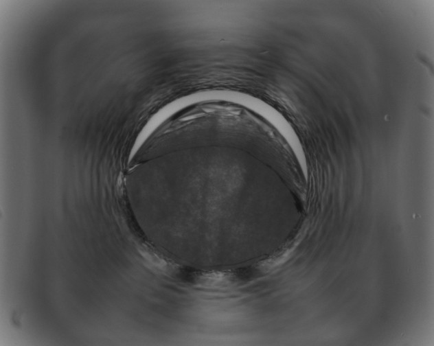 X0000092230237200710121224