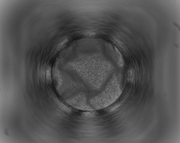 X0000092230238200710121224