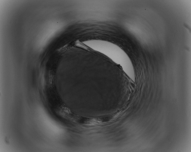 X0000092230239200710121224