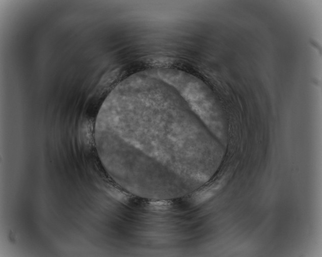 X0000092230240200710121224