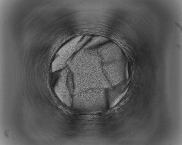 X0000092230241200710121224