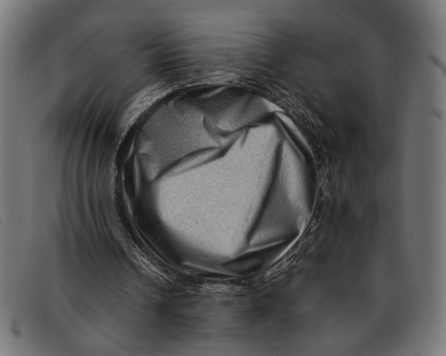 X0000092230242200710121224