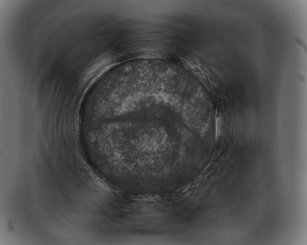 X0000092230243200710121224