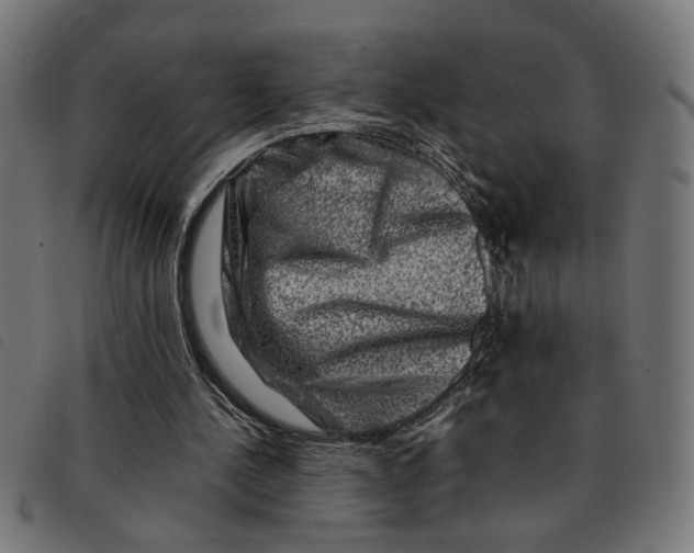 X0000092230244200710121224