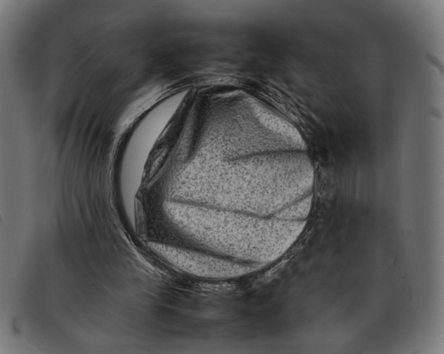 X0000092230245200710121224