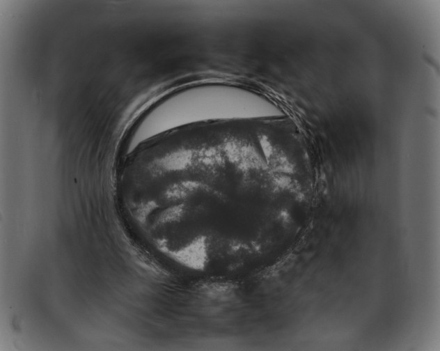 X0000092230247200710121224