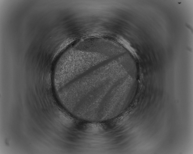 X0000092230250200710121224