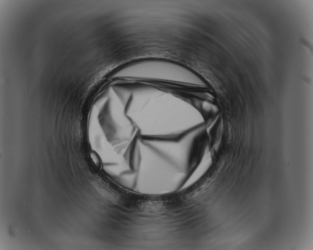 X0000092230252200710121224