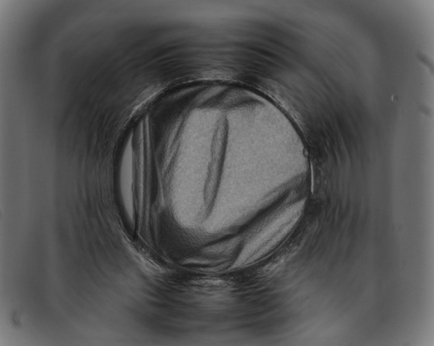 X0000092230253200710121224