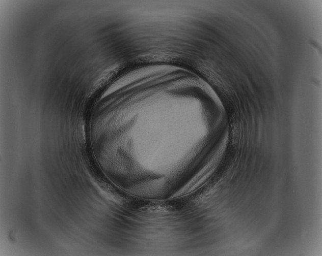 X0000092230254200710121224