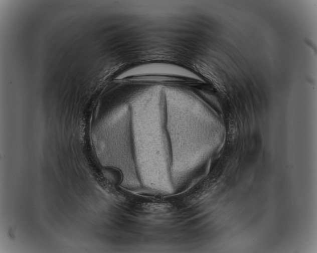 X0000092230255200710121224