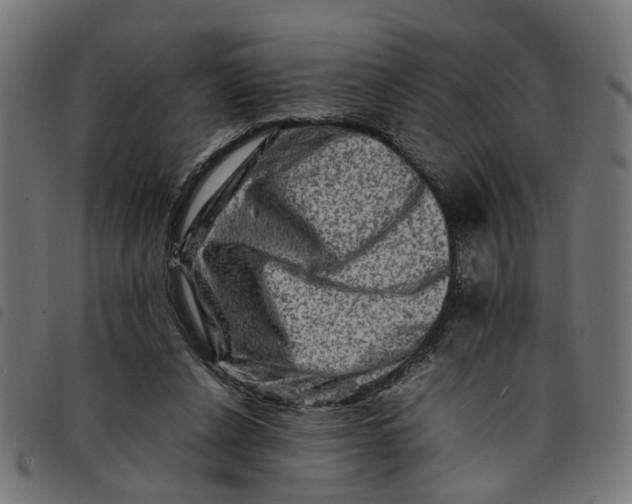 X0000092230256200710121224