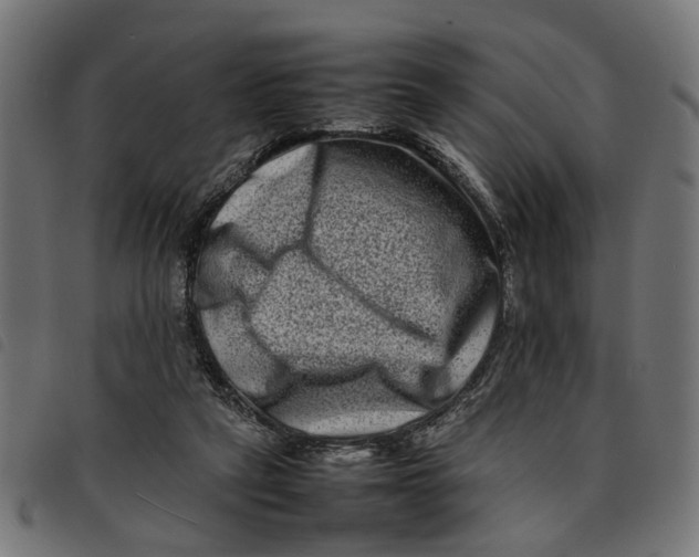 X0000092230257200710121224