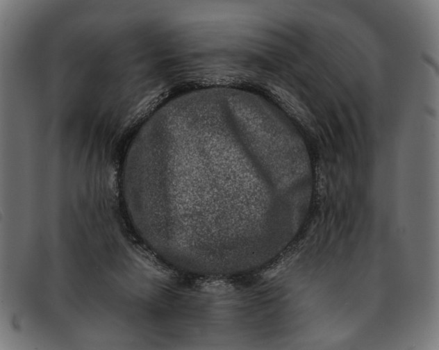 X0000092230258200710121224