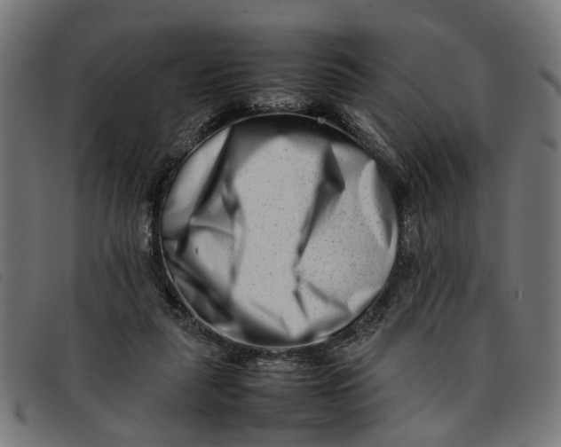 X0000092230259200710121224