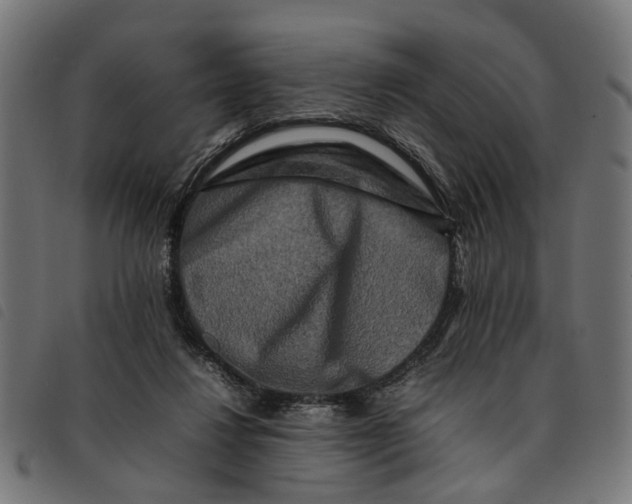 X0000092230260200710121224