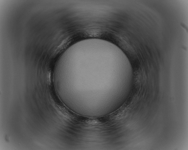 X0000092230262200710121224