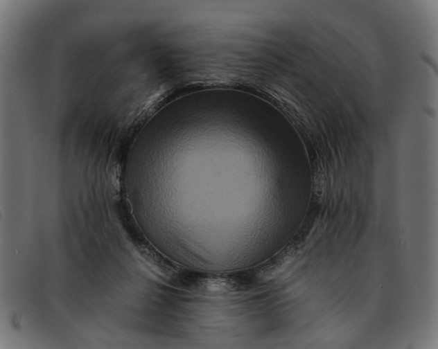 X0000092230264200710121224