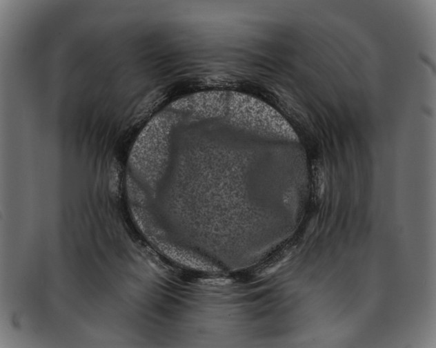 X0000092230266200710121224