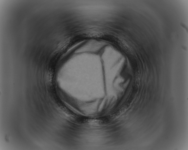 X0000092230268200710121224