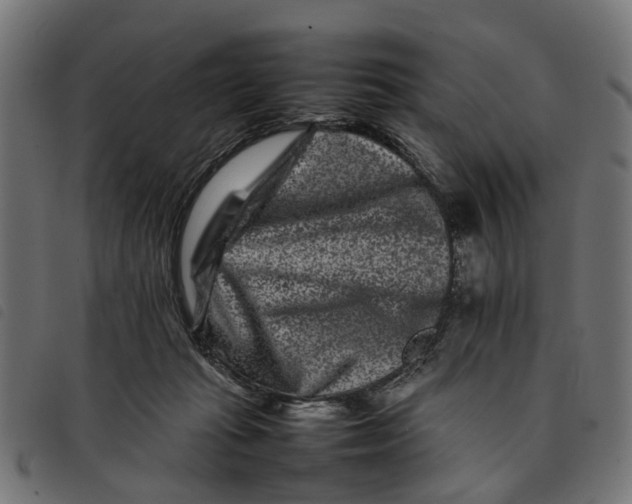 X0000092230269200710121224