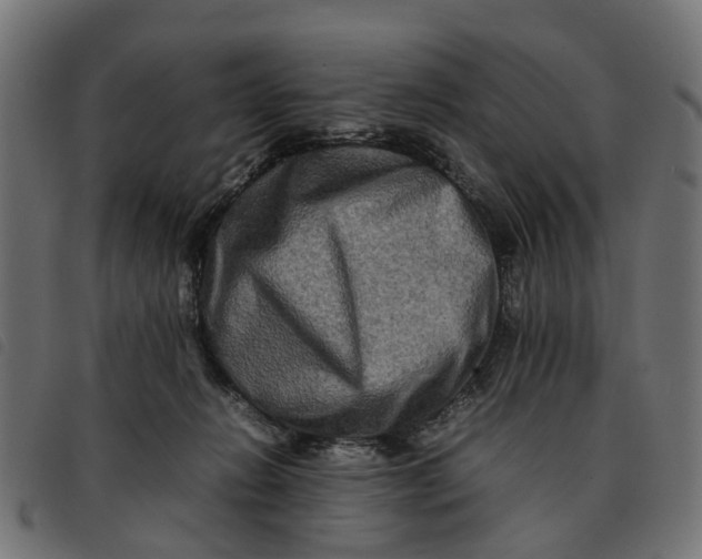 X0000092230270200710121224