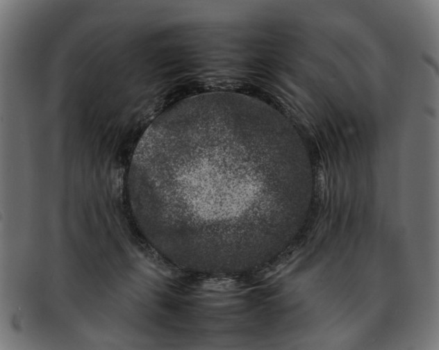 X0000092230271200710121224