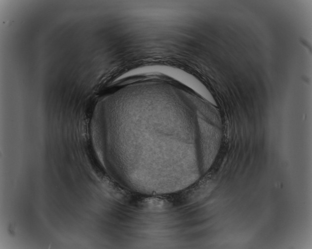 X0000092230272200710121224