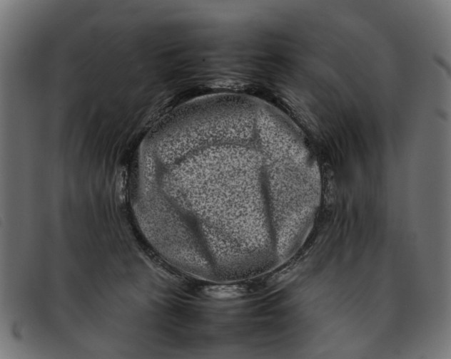 X0000092230273200710121224