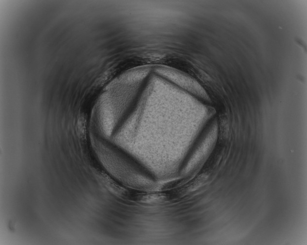 X0000092230274200710121224