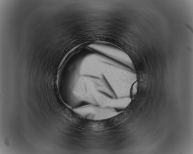 X0000092230275200710121224