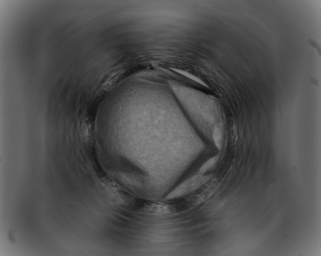 X0000092230276200710121224