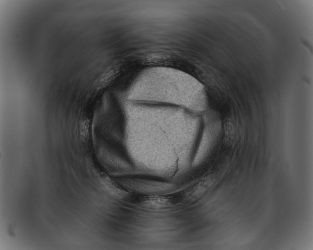 X0000092230278200710121224