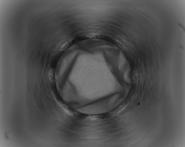 X0000092230280200710121224