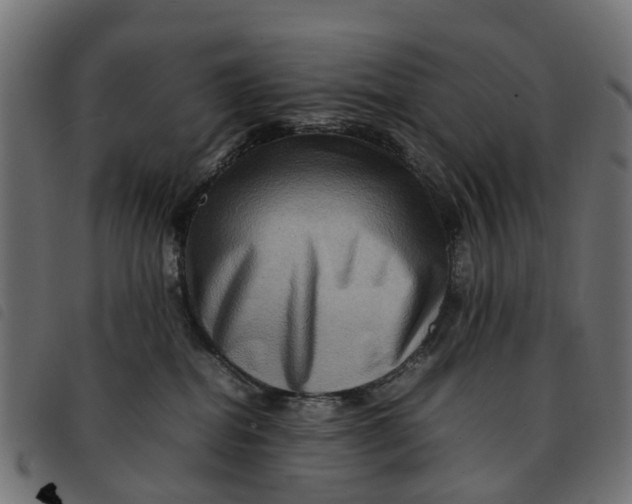 X0000092230282200710121224