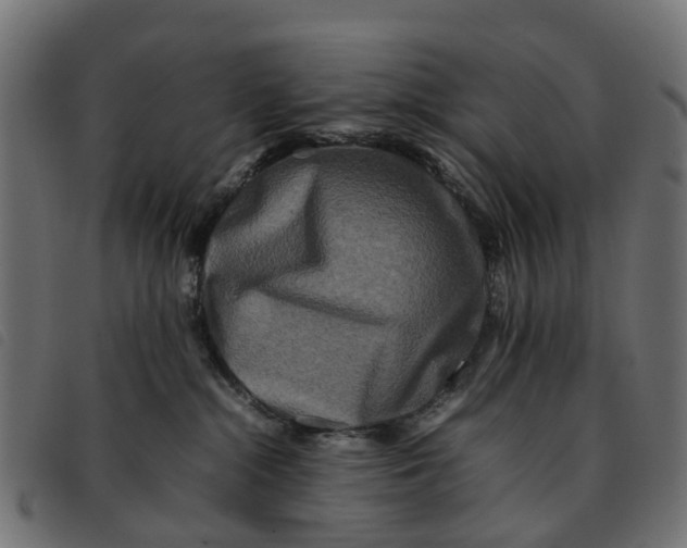 X0000092230284200710121224