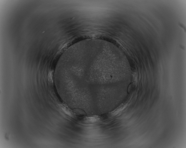 X0000092230286200710121224