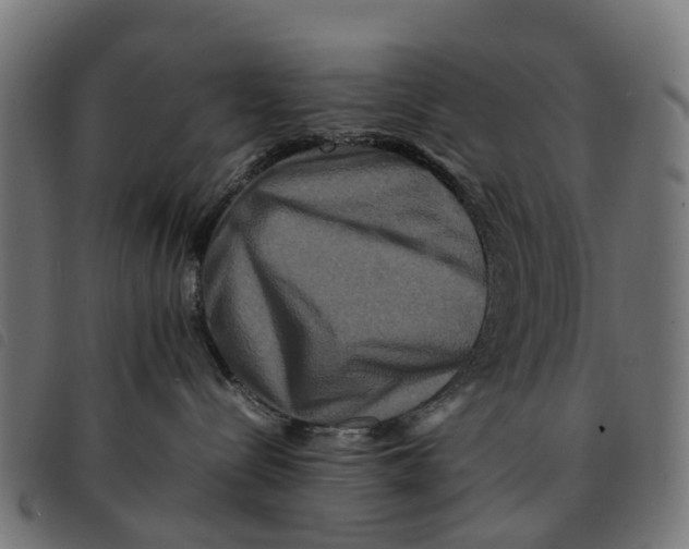 X0000092230288200710121224