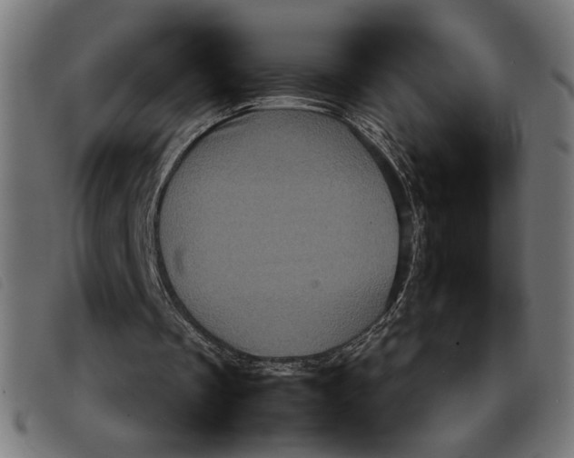 X0000092230289200710121224