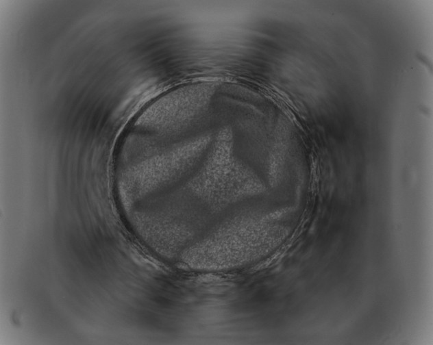 X0000092230290200710121224