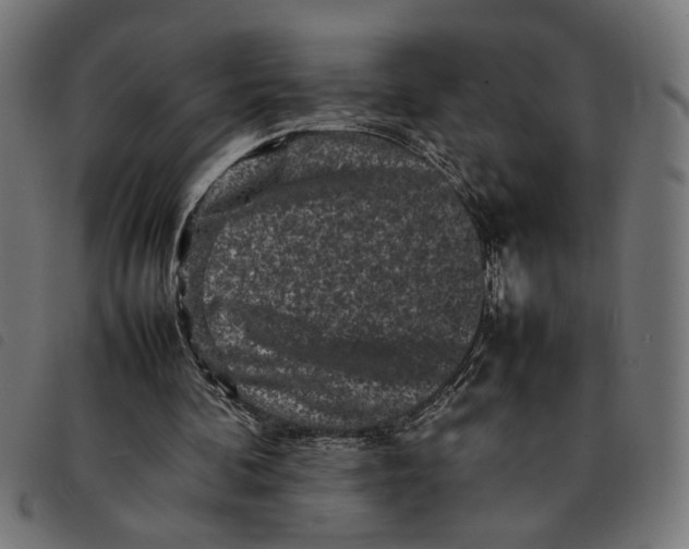 X0000092230292200710121223